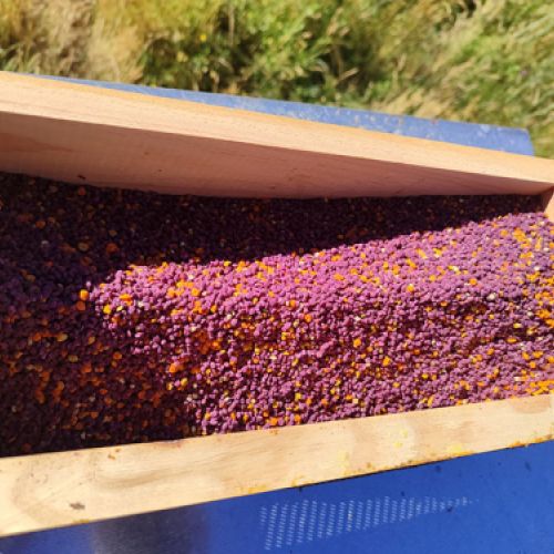 Tienda online de miel de León