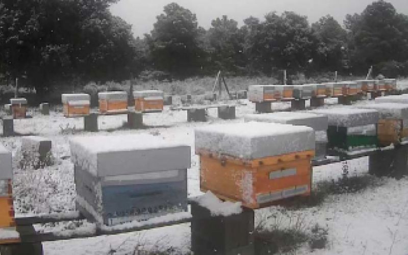 torneros con nieve
